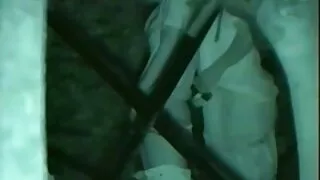 CorvAnder Corvus išlaikė egzaminus universitete ir dabar jis yra liūdnas.  Daugiau išlaisvinimo duetas tik svajojo pasodinti seserį, kuri jam tapo giminaite po tėvo vedybų su kita moterimi. Sesers pūlingas tapo geriausia paguoda išsiuntimo metu, nes tik tokia brangi Sd dne Cole šviesiaplaukė su rafinuoto modelio figūra ir gimnastės Malone pasidavė lovoje iki galo, tikėdamasi staigios pabaigos.  Tačiau Viešpats nimfai pasigailėjo gudrių technikų, iš kurių ji kartu su juo patirs svaiginantį orgazmą.  Toks super gaidys į cheater gyvenimą dar neįvyko!